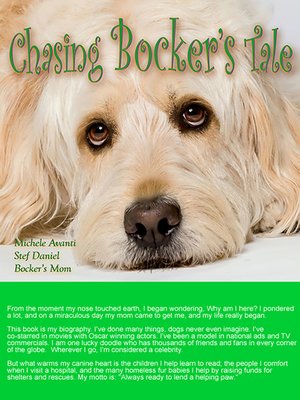 cover image of Chasing Bocker's Tale